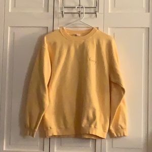 Brandy Melville Honey Crewneck